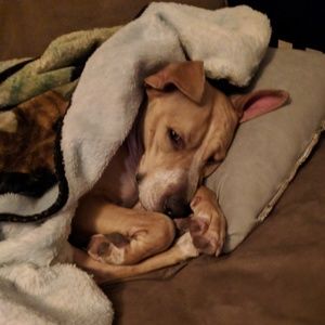 Meet your Posher, Cassia